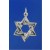 SPC STAR OF DAVID PENDANT              =