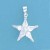 SPC CZ 5 POINT STAR PENDANT            =