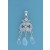 SPC CZ/OPAL CRYSTAL CHANDELIER SET     =