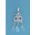 SPC CZ/OPAL CRYSTAL CHANDELIER SET     =