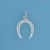 SPC 14mm HORSESHOE CHARM               =