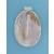 SPC 62x48mm OVAL BLISTERED SHELL PEND  =