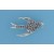 SPC 38mm MARCASITE SWALLOW BIRD BROOCH =