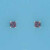 SPC 4mm CLAW SET SQUARE STUD-PURPLE    =