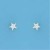SPC 4mm CLAW SET STAR CZ STUD          =