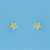 SPC 4mm CLAW SET STAR STUD-YELLOW      =
