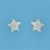 SPC 10mm GLITTER STAR STUDS            =