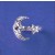 SPC MOON AND STAR RING