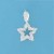 SPC CZ SET 8mm STAR PENDANT            =