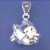 SPC HOLLOW FISH CHARM                  =