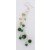 SPC 3 ROW MOSS-TONE DROPS              =